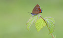 BUITEN BEELD Foto: 281379