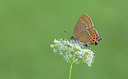BUITEN BEELD Foto: 281380