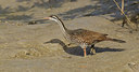 BUITEN BEELD Foto: 281384