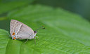 BUITEN BEELD Foto: 281385