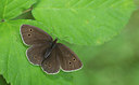 BUITEN BEELD Foto: 281395