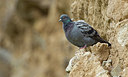 BUITEN BEELD Foto: 281399
