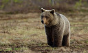 BUITEN BEELD Foto: 281400