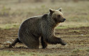 BUITEN BEELD Foto: 281401