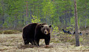 BUITEN BEELD Foto: 281404