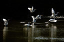 BUITEN BEELD Foto: 281451