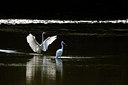 BUITEN BEELD Foto: 281454