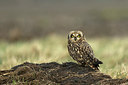 BUITEN BEELD Foto: 281467