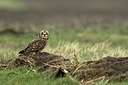 BUITEN BEELD Foto: 281469