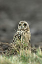 BUITEN BEELD Foto: 281470