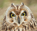 BUITEN BEELD Foto: 281481