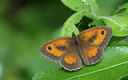 BUITEN BEELD Foto: 281563