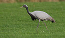 BUITEN BEELD Foto: 281593