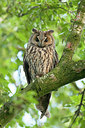 BUITEN BEELD Foto: 281601