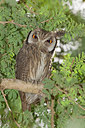 BUITEN BEELD Foto: 281652
