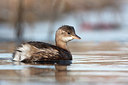 BUITEN BEELD Foto: 281667