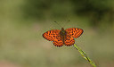BUITEN BEELD Foto: 281683