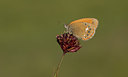 BUITEN BEELD Foto: 281686