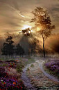 BUITEN BEELD Foto: 281699