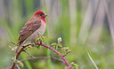 BUITEN BEELD Foto: 281706