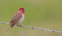 BUITEN BEELD Foto: 281708