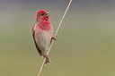 BUITEN BEELD Foto: 281709
