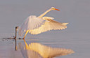 BUITEN BEELD Foto: 281724