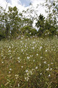 BUITEN BEELD Foto: 281728