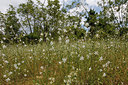 BUITEN BEELD Foto: 281730