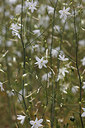 BUITEN BEELD Foto: 281731
