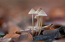 BUITEN BEELD Foto: 281738