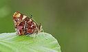 BUITEN BEELD Foto: 281743