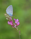 BUITEN BEELD Foto: 281750