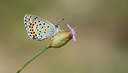 BUITEN BEELD Foto: 281754