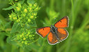 BUITEN BEELD Foto: 281771