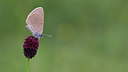 BUITEN BEELD Foto: 281773