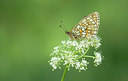 BUITEN BEELD Foto: 281774