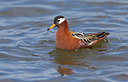 BUITEN BEELD Foto: 281775
