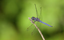 BUITEN BEELD Foto: 281780