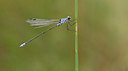BUITEN BEELD Foto: 281783