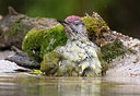 BUITEN BEELD Foto: 281788