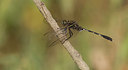 BUITEN BEELD Foto: 281802