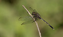 BUITEN BEELD Foto: 281803