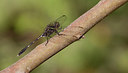 BUITEN BEELD Foto: 281809
