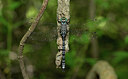 BUITEN BEELD Foto: 281810