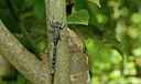 BUITEN BEELD Foto: 281811