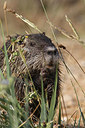 BUITEN BEELD Foto: 281816