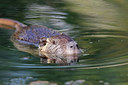 BUITEN BEELD Foto: 281819