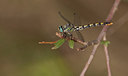 BUITEN BEELD Foto: 281821