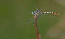 BUITEN BEELD Foto: 281822